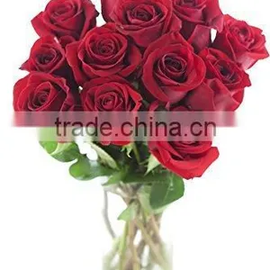 Natural Rose Flower thumbnail-1