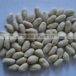 Blanched Peanut Supplier in China thumbnail-1