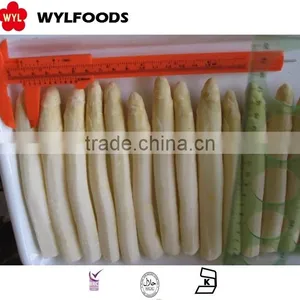 Price for Iqf Asparagus White With Good Quality thumbnail-6