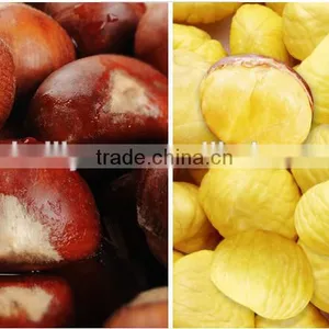 30-40 40-60 2015 Hot Sell Sweet Fresh Chestnuts thumbnail-3