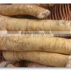 Dry Horseradish thumbnail-4