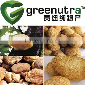 Hericium Erinaceus Extract/Monkey Head Mushroom Extract thumbnail-1