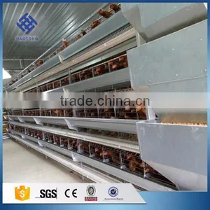 30 Years' Factory Supply Automatic Chicken Broiler Cages thumbnail-6