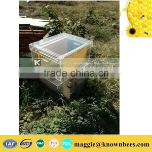 Plastic Beehive Frame Beehive Box/bee Box for Apiculture Plastic Beehive Frame thumbnail-6