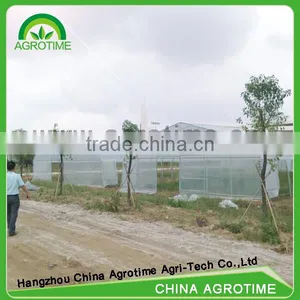 Solar Greenhouse Invernadero Ojival Economico thumbnail-2