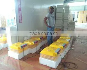 Dezhou Tongda Incubation Equipment Factory (Livestock Breeding) company overview - view 2 thumbnail