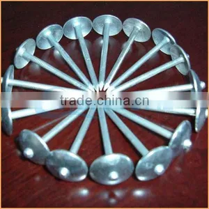 Top Quality Construction Common Roofing Nail Iron Nail Quality Assured Trusted Chuanghe Suppliers From Com thumbnail-6