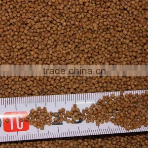 Africa Nigeria Floating Fish Feed Production Line 500-800kg/hour thumbnail-5