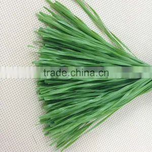 13700D PE Artificial Grass Yarn for Grass Turf thumbnail-2