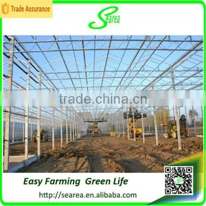 Quickly Delivery Structure Greenhouse for Sale Green House thumbnail-4