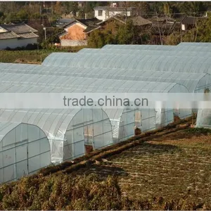 Plastic Film Greenhosue for Agricultural Price thumbnail-1