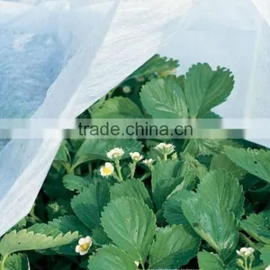 9-40g Nonwoven Fabric for Winter Protection Fleece thumbnail-1