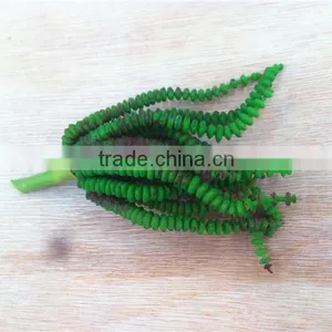 Home and Outdoor Garden Edging Christmas Decoration 60cm or 24inches Height Artificial Small Grass for Green Wall E04 1043 thumbnail-6