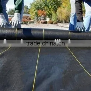 Anti uv Plastic Eco Friendly Waterproof Fabric Ground Cover thumbnail-3