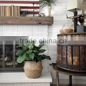 Natural Belly Seagrass Basket / Planter for Home Decoration thumbnail-5