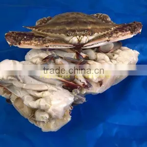 Frozen Fresh Land Crabs thumbnail-1