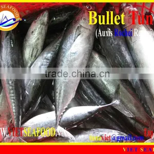 FROZEN BULLET TUNA W/R thumbnail-1