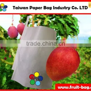 TPBI Taiwan Paper Fruit Protection Paper Bag for Mango Tree thumbnail-1