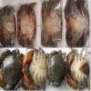 Soft Shell Crab (alive Frozen)Yangon, Myanmar thumbnail-2