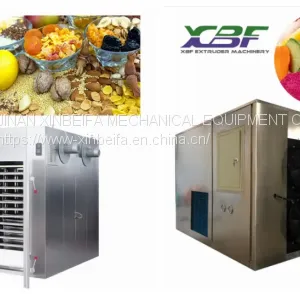 Hot Air Energy Type Grapes Fruit and Vegetable Dryer Machine thumbnail-5