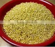Organic Millet thumbnail-1