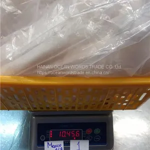 Frozen Pangasius Fillets, (pangasius Hypophthalmus) , Filete De Basa, Basa Rojo, Blanco thumbnail-5