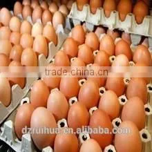 30 Holes Egg Trays thumbnail-1