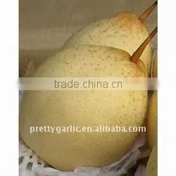 Golden Pear 2011 Crop thumbnail-1