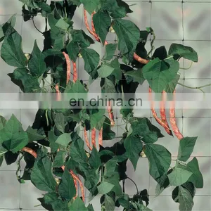 Plastic Plants Support Trellis Net for Creeper Plants Crop thumbnail-5