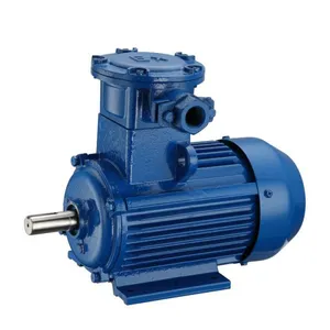 Explosion-proof Motor thumbnail-1