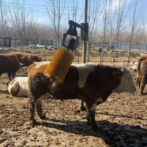 Metal Frame Electric Cow Brush Machine Dairy Farm Equipment for Cow Body Cleaning and Massage for Ranch and Farm thumbnail-3