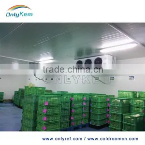 Fruit and Vegetable Cold Room , Sandwich Panel Cold Room , Mini Cold Storage Quality Choice Supplier's Choice thumbnail-1