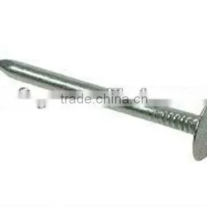Galvanized Coated Broad Head Nails thumbnail-4