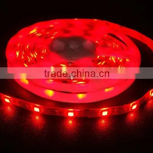 Addressable Decorating Led Lights IP65 Waterproof Swimming Pool Led Light Programmable DC12V 60pcs/m LED Strips thumbnail-3