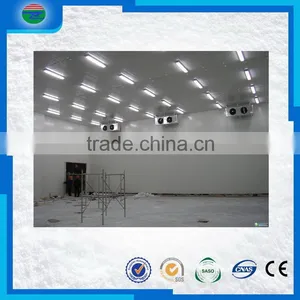 China Manufacture High Quality Cold Storage/cold Room for Chicken thumbnail-1