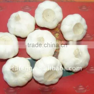 Garlic Price in China 2012 thumbnail-1
