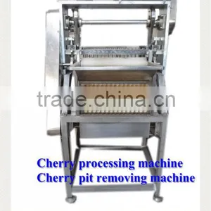 Cherry Seed Removing Machine / Cherry Pitting Machine thumbnail-3