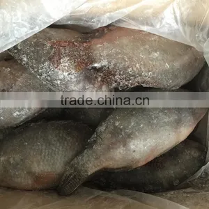 FROZEN BIG TILAPIA WHOLE ROUND HOT SALE IN AFRICA thumbnail-1