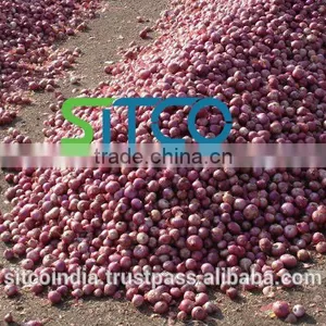 ONION thumbnail-3