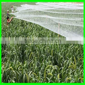 Ultra Fine Insect Netting Garden Crop Veg Protection thumbnail-6