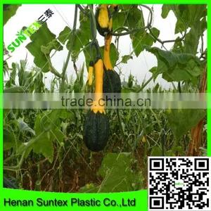 Heavy Duty Long-lasting Flexible Growing Vine Vegetables Support Net thumbnail-5