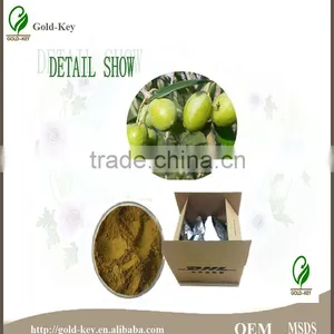 Hot Selling Olive Leaf Extract in Herbal Extract thumbnail-3