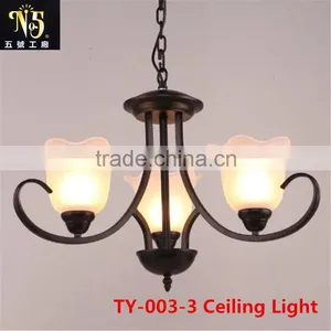 2016 Hot Sale Flower Patterned Glass Chandelier Iron Light for Dining Room for Home or Coffee House thumbnail-1