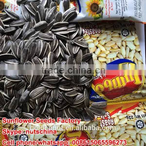 Chinese Sunflower Seeds 5009 thumbnail-1
