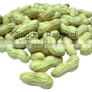 Roasted Peanuts in Shell thumbnail-1