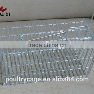Polycarbonate Laboratory Rodent Cages/Mouse Cage For Slae Cheap And Mouse Cage Design thumbnail-5