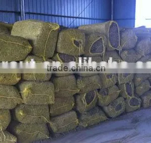 2016 Hydroponic Farm Fodder Growing System for Poultry/Livestock thumbnail-6