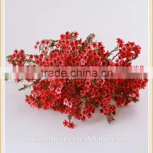China Wholesale Outdoor Fresh Cut Wintersweet Plants thumbnail-2
