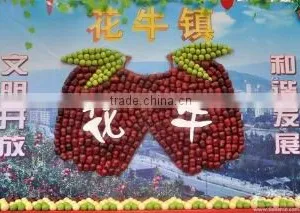 Tianshui Jia Wei Commercial And Trade Co., Ltd. company overview - view 3 thumbnail