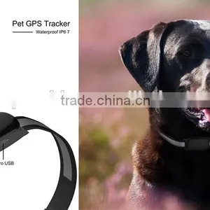 Waterproof Cheap Mini WiFi Anti-lost Waterproof Pet Anywhere Gps Collar Tracker for Cat Pet Tracker thumbnail-1
